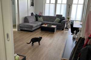 Property thumbnail 6