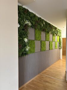 Helles und Großzügiges 3-Zimmer-Apartment in Erfurt