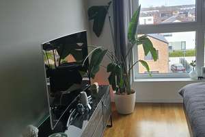 Sonnige Penthouse-Wohnung Hamburg Neugraben-Fischbek Süderelbe – Torfstecherweg 52, 21147 Neugraben-Fischbek, Hamburg – Vorschaubild 19