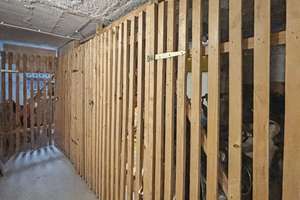 Denkmalschutz: Helle und kompakte, vermietete 2-Zimmer-Wohnung im nachgefragten Leipziger Osten – Die vollständige Adresse der Immobilie erhältst du vom Anbieter., 4318 Anger-Crottendorf, Leipzig – Vorschaubild 7