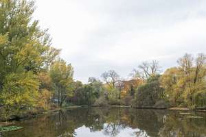 Property thumbnail 14