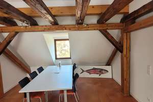 Historisches Wohn und Geschäftshaus mit parkähnlichem Garten und Potenzial für weiteren Neubau. – Stephanienstraße 27, 76133 Innenstadt-West, Karlsruhe – Vorschaubild 7
