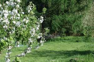 Lust auf Sonne? Hier ist Ihr Garten!