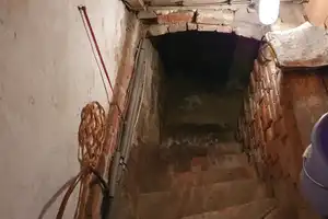 Natur pur – Einfamilienhaus mit großem Grundstück und Seenähe – Mecklenburg-Strelitz (Kreis) – Vorschaubild 50