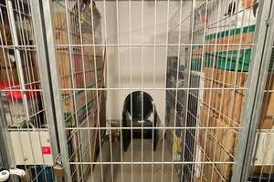 Property thumbnail 22