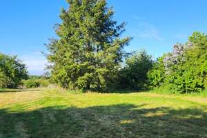 Villa auf 6.900 qm Grundstück – Die vollständige Adresse der Immobilie erhältst du vom Anbieter., 16230 Chorin – Vorschaubild 15