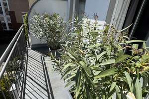 Helle und gemütliche Wohnung in guter Lage von Dellbrück*Terrasse und Balkon*Stellplatz – Bergisch Gladbacher Straße 1139, 51069 Dellbrück, Köln – Vorschaubild 6