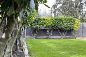 Freistehendes Haus mit zwei Wohnungen, sonnigem Garten, Terrasse und zwei Balkonen – Frankenthal (Pfalz) – Vorschaubild 74