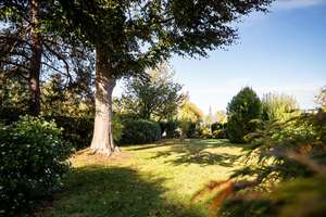 Property thumbnail 14