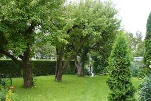 Selten!!! Einfamilienhaus mit Garten im Stadtzentrum – Bad Kissingen (Kreis) – Vorschaubild 18