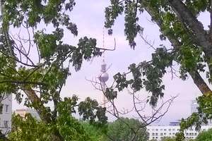 Property thumbnail 19