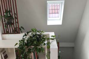 Helle 2-Zimmer Dachgeschosswohnung in Stuttgart-Bad Cannstatt – Martin-Luther-Straße 99, 70372 Seelberg, Stuttgart – Vorschaubild 8