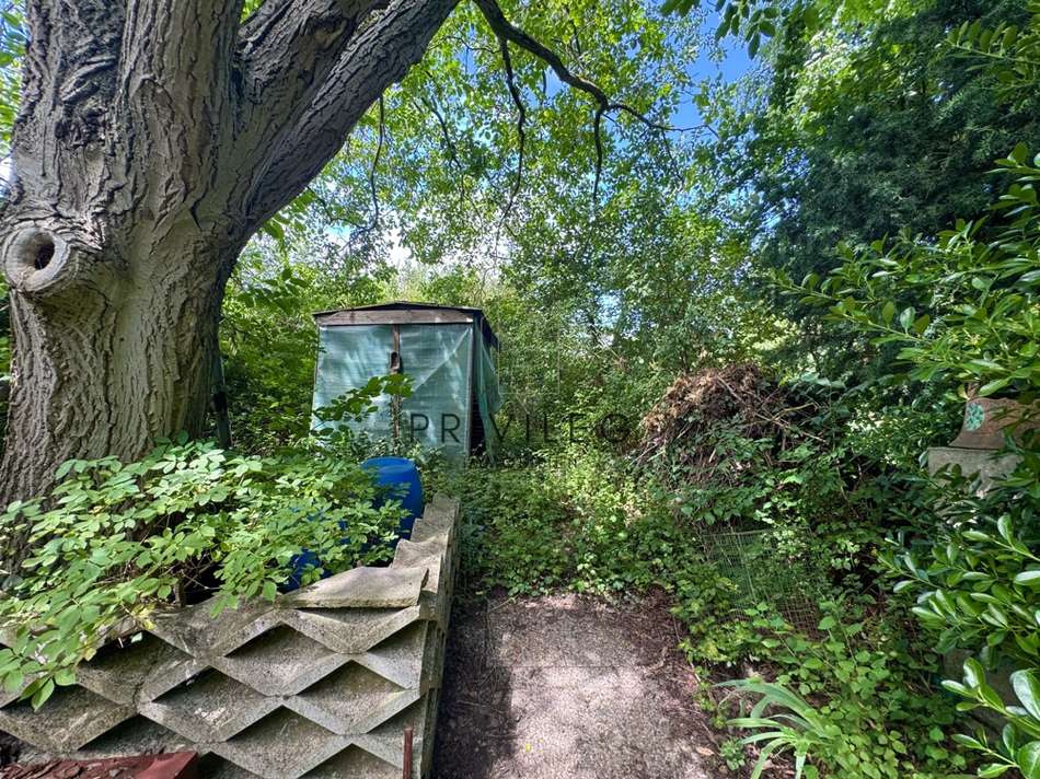 Gartenlandschaft