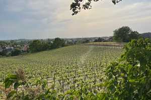 Wohnen am Weinberg – Am Weinberg 6, 14542 Potsdam-Mittelmark (Kreis) – Vorschaubild 4