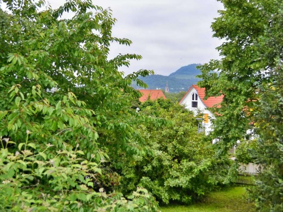 Ausblick Balkon OG