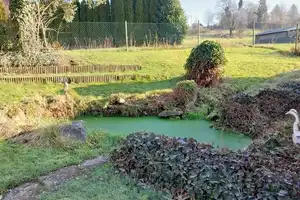 Große Hofreite in Nidda-Eichelsdorf – Wetteraukreis – Vorschaubild 14