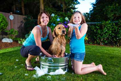 Erholungsraum Garten