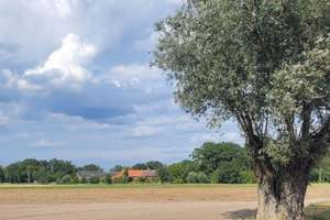 Landlust pur – Vierseitenhof in wunderschöner Dorfrandlage – Die vollständige Adresse der Immobilie erhältst du vom Anbieter., 39606 Gladigau – Vorschaubild 12