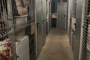 Property thumbnail 34