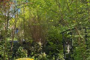 Idylle Pur! Reihenendhaus mit großzügiger Wohn-/Nutzfläche und großem Garten – Schumacherstraße 37, 97209 Veitshöchheim – Vorschaubild 28