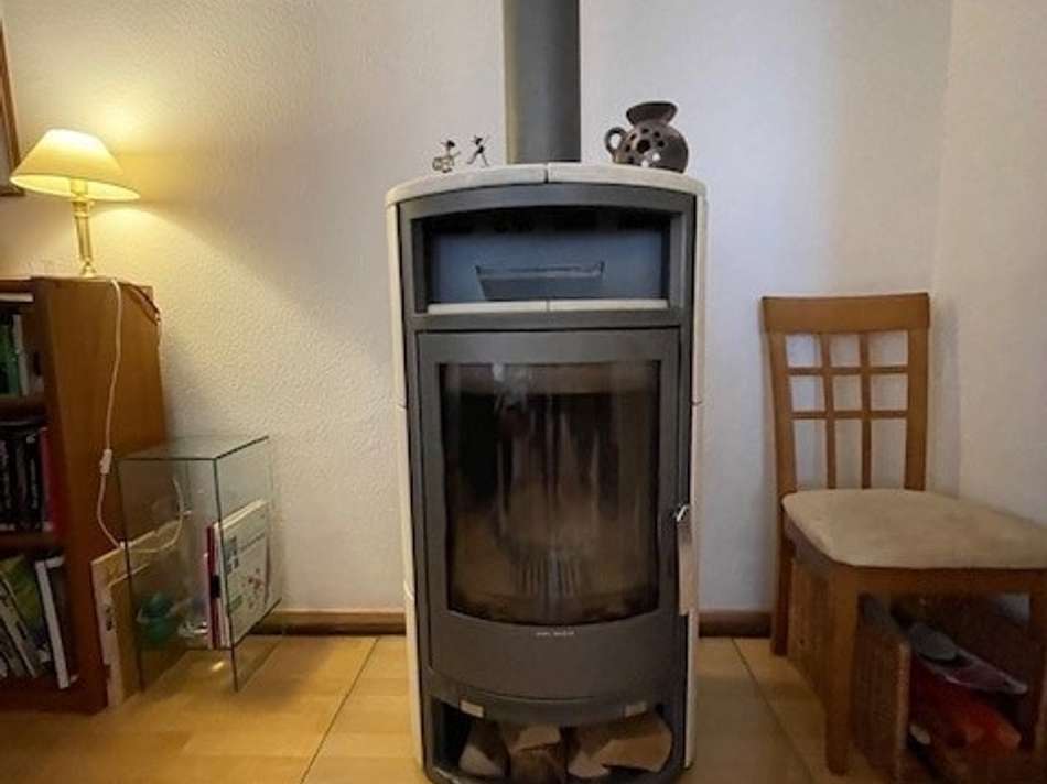 Kaminofen EG