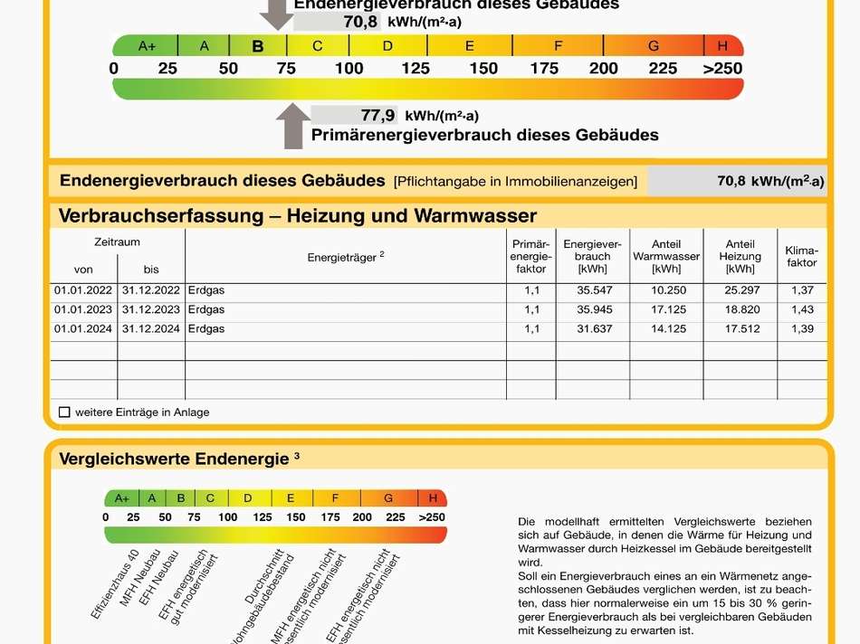 Auszug Energieausweis