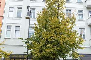 HOMESK - 4-Zimmer-DG-Maisonette-Wohnung mit Aufzug und EBK direkt am U-Bhf. Eberswalder Straße – Schönhauser Allee 143, 10435 Prenzlauer Berg, Berlin – Vorschaubild 26