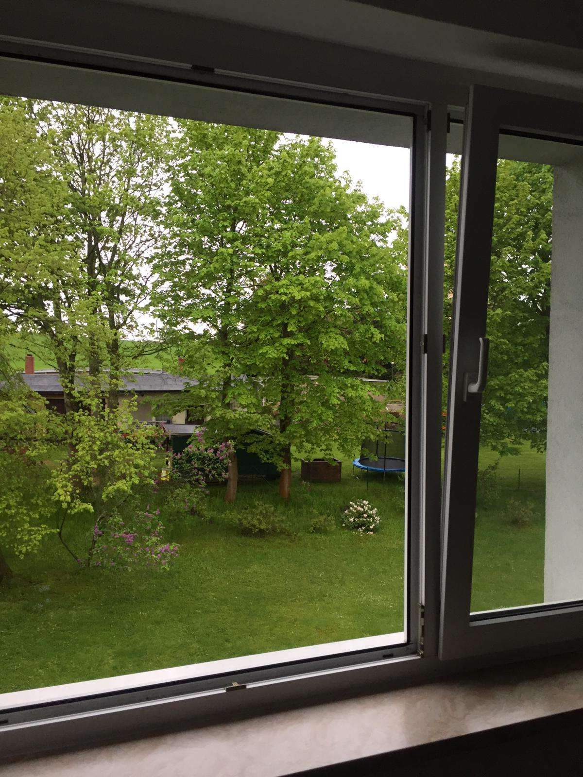 Ausblick