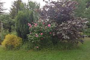 Villa mit 255qm und ELW mit 3966qm Garten in Ortsrandlage – Die vollständige Adresse der Immobilie erhältst du vom Anbieter., 72178 Waldachtal – Vorschaubild 57