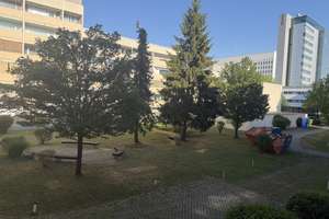 1-Zimmer Apartment - Neu Saniert und Voll Möbliert – Landsbergerstraße 443, 81241 Am Westbad, München – Vorschaubild 4