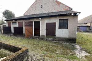 Tierliebhaber aufgepasst – Die vollständige Adresse der Immobilie erhältst du vom Anbieter., 4924 Uebigau-Wahrenbrück – Vorschaubild 10