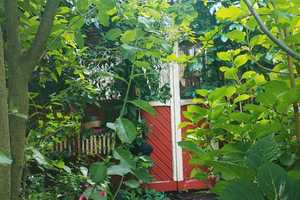 Property thumbnail 9