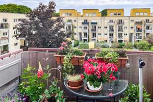 Top gepflegte leere Wohnung in Friedrichshagen – Die vollständige Adresse der Immobilie erhältst du vom Anbieter., 12587 Friedrichshagen, Berlin – Vorschaubild 2