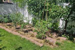 Krefeld - City/ schöne 2 Zi. Whg. im EG mit Sonnen-Terrasse und Garten – Krefeld – Vorschaubild 14