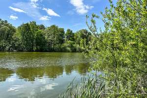 Property thumbnail 15