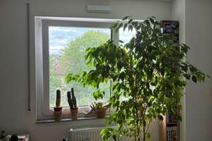 Modernes Wohnen, barrierefrei, in Nürnberg: 2-Zimmer-Wohnung mit Balkon – Hinterhofstraße 28, 90451 Eibach, Nürnberg – Vorschaubild 4
