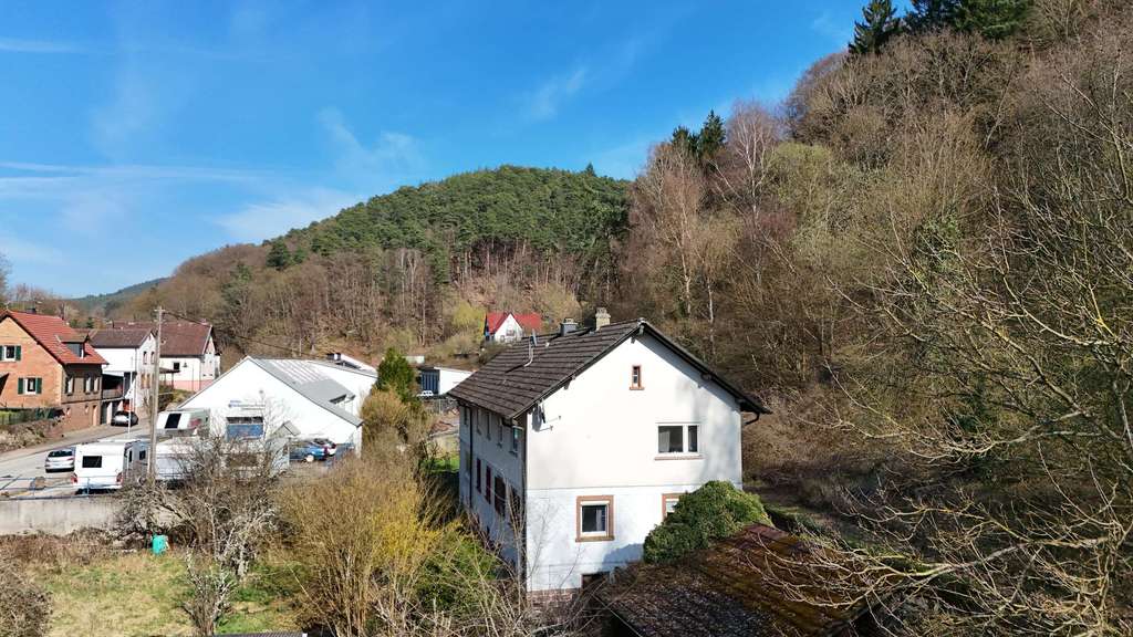 Immobilie in Frankenstein - SANIERUNGSOBJEKT MIT POTENZIAL - DHH inkl. umfangreichem Grundstückspaket - Bild 3