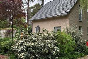 Einfamilienhaus nahe Wasser und Wald – Schwarzspechtweg 9A, 13505 Konradshöhe, Berlin – Vorschaubild 3