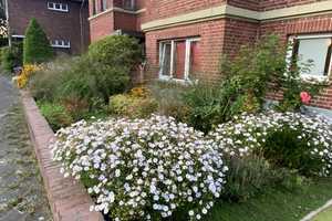 Bestlage – Großes Wohnhaus Mönchengladbach – Bunter Garten
 – Mönchengladbach – Vorschaubild 4