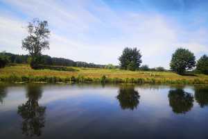 Ein traumhaftes Domizil am Vosskanal für die Ferien, zum Wohnen & zum Wohlfühlen – Oberhavel (Kreis) – Vorschaubild 30