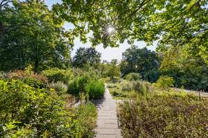 Property thumbnail 24