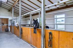 Paradies abzugeben ! – Die vollständige Adresse der Immobilie erhältst du vom Anbieter., 87487 Wiggensbach – Vorschaubild 15
