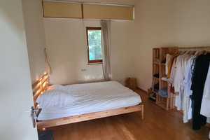 Willkommen in deinem neuen Zuhause. Freistehender Landbungalow mit unverbauter Weitsicht - sofort be – Bernkastel-Wittlich (Kreis) – Vorschaubild 22
