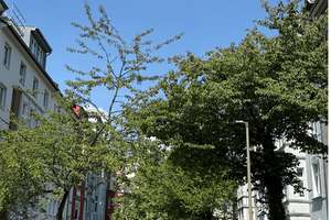 Seltene Gelegenheit im Saarlandstraßenviertel – ca. 160 m², 5,5 Zimmer & hochwertige Sanierung