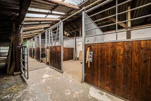 Modernisierter Resthof mit rund 2,1 Hektar warten auf Naturliebhaber und Tierfreunde – Die vollständige Adresse der Immobilie erhältst du vom Anbieter., 26629 Großefehn – Vorschaubild 22