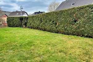 Charmantes Einfamilienhaus mit Potenzial – Mayen-Koblenz (Kreis) – Vorschaubild 17