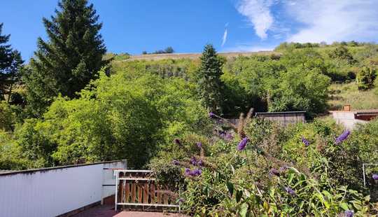 Bild von Für Naturliebhaber & Gartenfreunde: Einfamilienh. mit Garage, Terrasse, großem Garten & Gartenhaus
