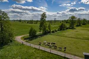 +Gehöft mit Zweifamilienhaus -Gewerbeflächen ca.300QM-Landwirtschaftsflächen ca.6500QM+ – Spree-Neiße (Kreis) – Vorschaubild 13