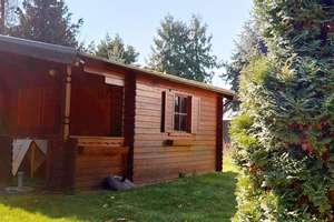 Property thumbnail 8