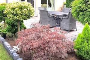 Property thumbnail 33